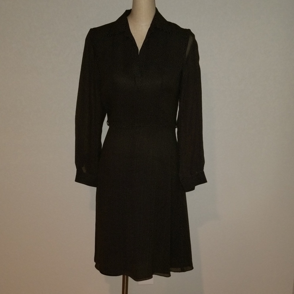 Ann Taylor polka dot dress